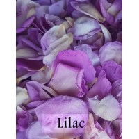 2 x Flower Girl Baskets with Rose Petals